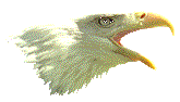 eaglehead