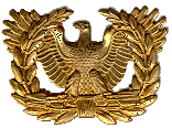 gold foil eagle