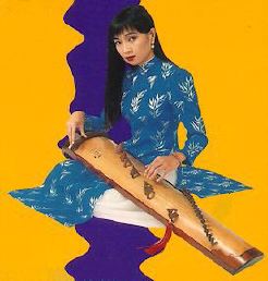 Vietnamese musician