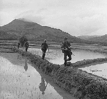 Marines hiking a rice paddy dike