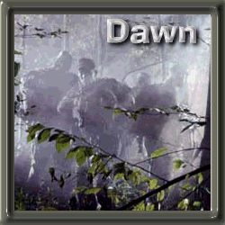 DawnPatrol
